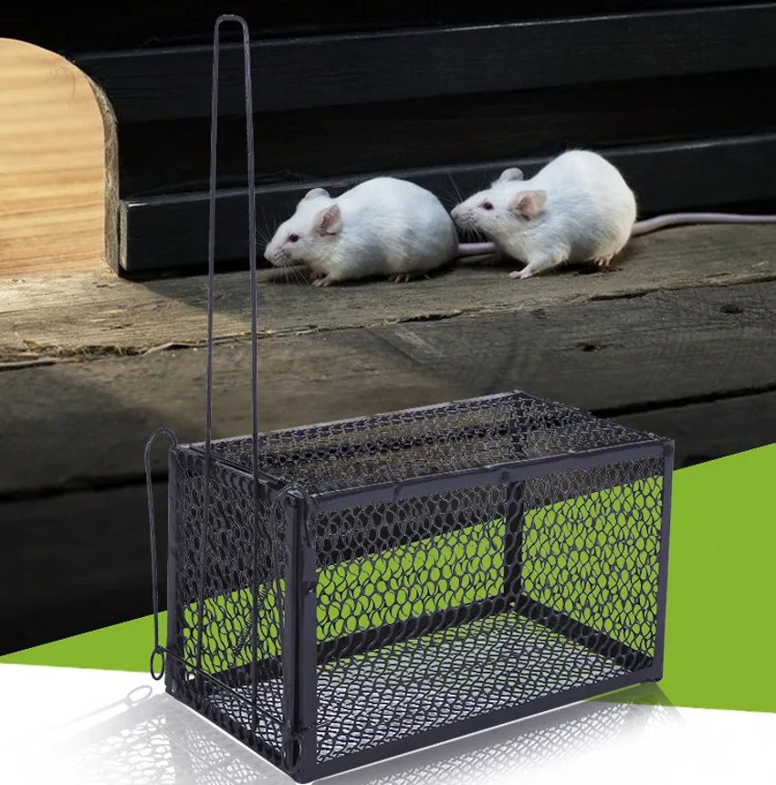 Gros Rat Cage Souris Rongeur Animal Contrôle Catch Bait Hamster