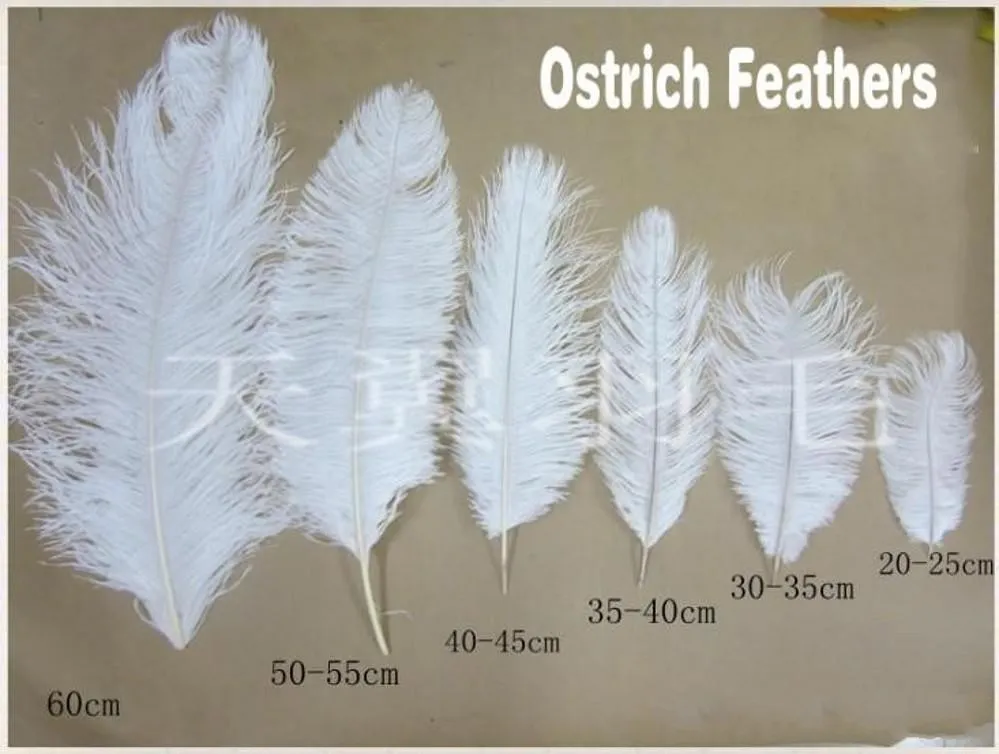 20 Pcs Natural Black Ostrich Feathers Plumes 8-10 Inch(20-25 Cm) Bulk For  Wedding Party, Easter, Gat