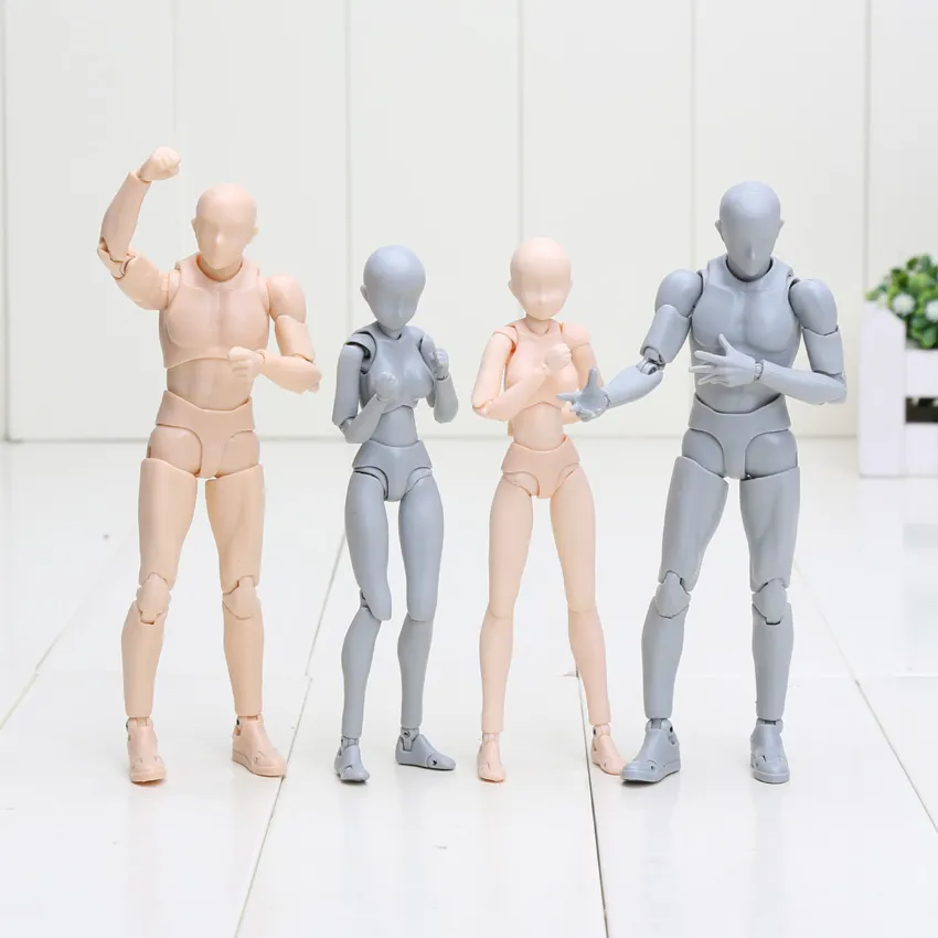 shf bodykun