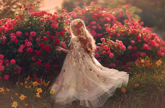 Renkli Altın Aplike Çiçek Kız Elbise Jewel Boyun Kısa Kollu Sheer Geri Çiçek Kız Elbise Düğün İçin Kabarık OrganzeDoğum Günü Elbise