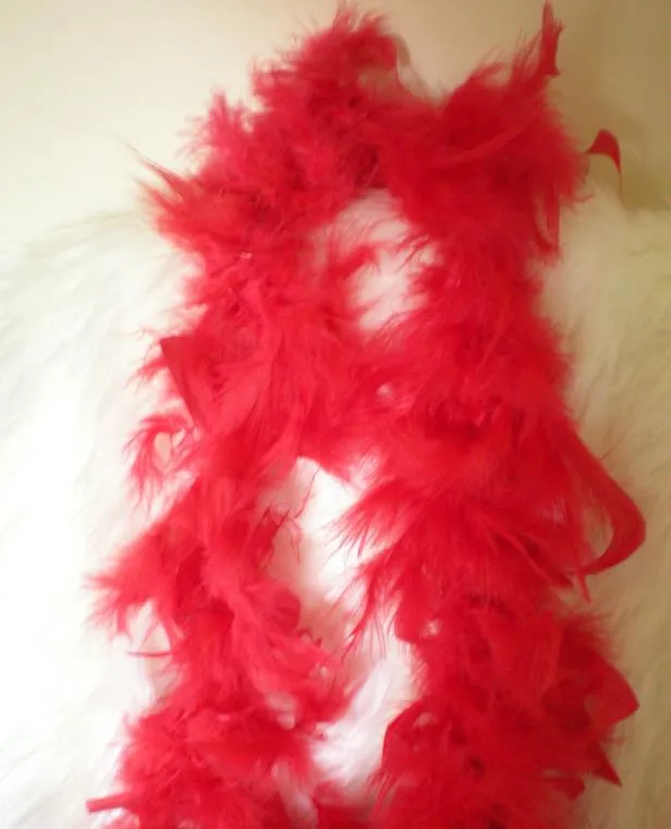 Feather boa 200cm burlesque showgirl hen night fancy dress party dance costume accessory wedding DIY decoration 