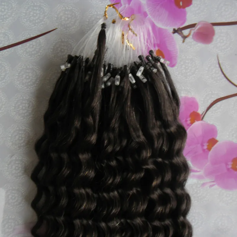 Micro Loop Ring Hair Extensions 100g Brasilian Remy Mänskliga Hår Kinky Curly Micro Ring Loop Hårförlängningar