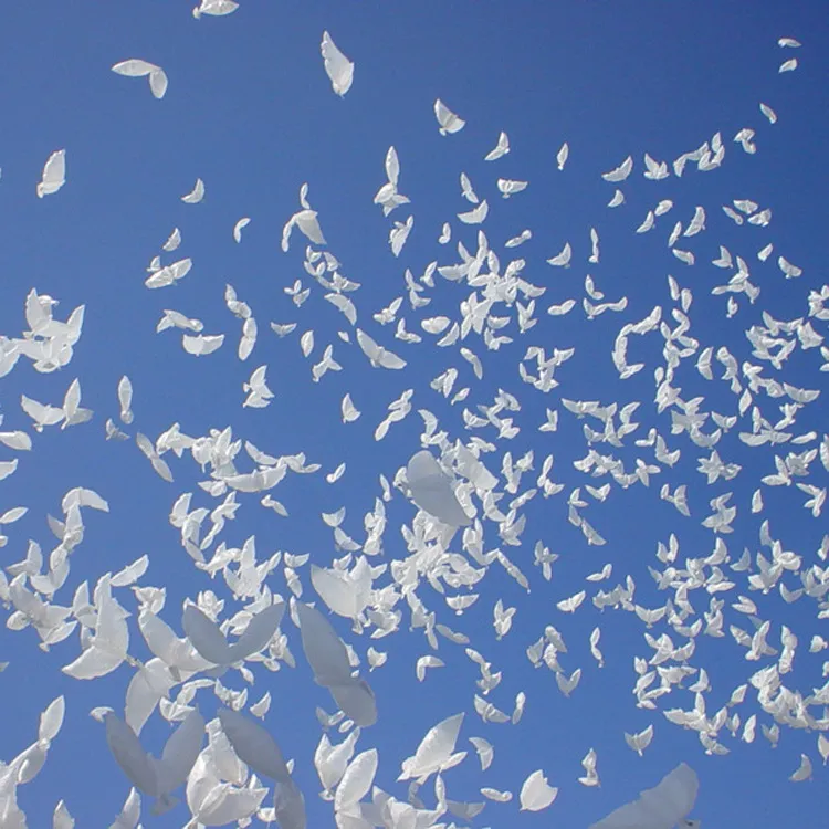 웨딩 파티 장식을위한 웨딩 헬륨 풍선 생 분해성 흰색 비둘기 풍선 비둘기 모양의 바이오 풍선 WA2539
