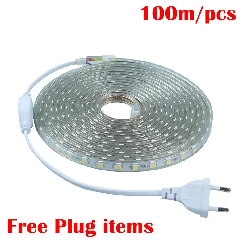 AC220V IP65 방수 SMD 5050 60leds / M LED 테이프 유연한 주도 스트립 라이트 램프 테이프 + 옥외 정원 조명에 대 한 EU 전원 플러그