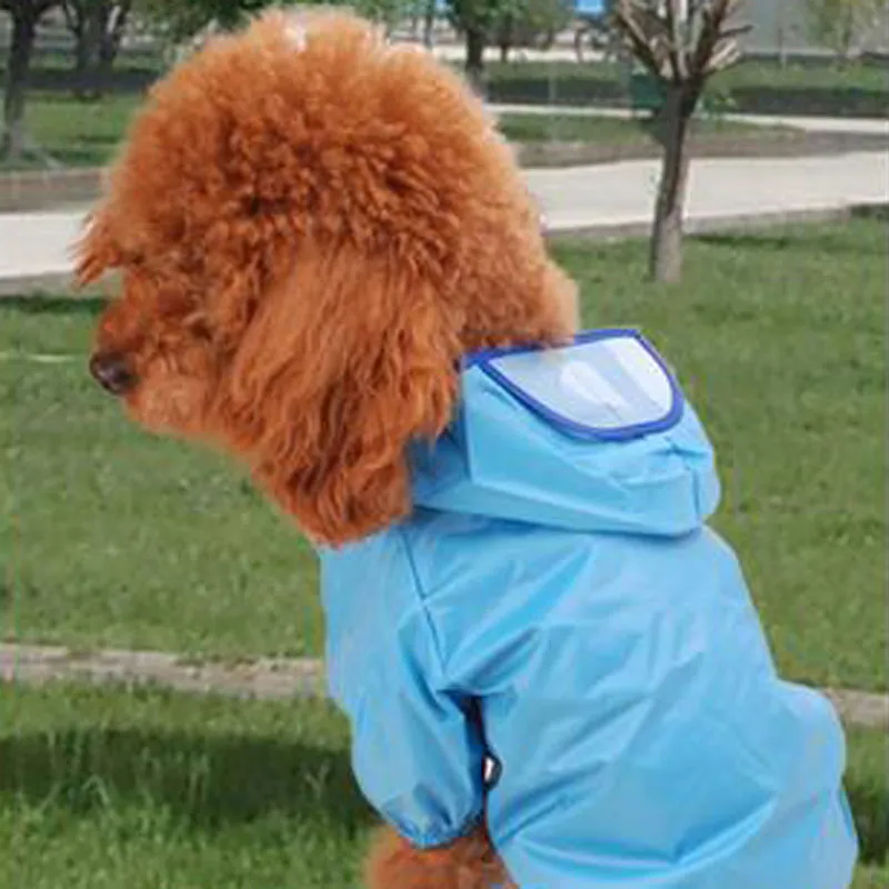 yorkie raincoat