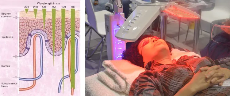 전문 바이오 가벼운 요법 광자 LED 피부 회춘 여드름 치료 7 PDT 페이셜 케어 머신 미용실 장비