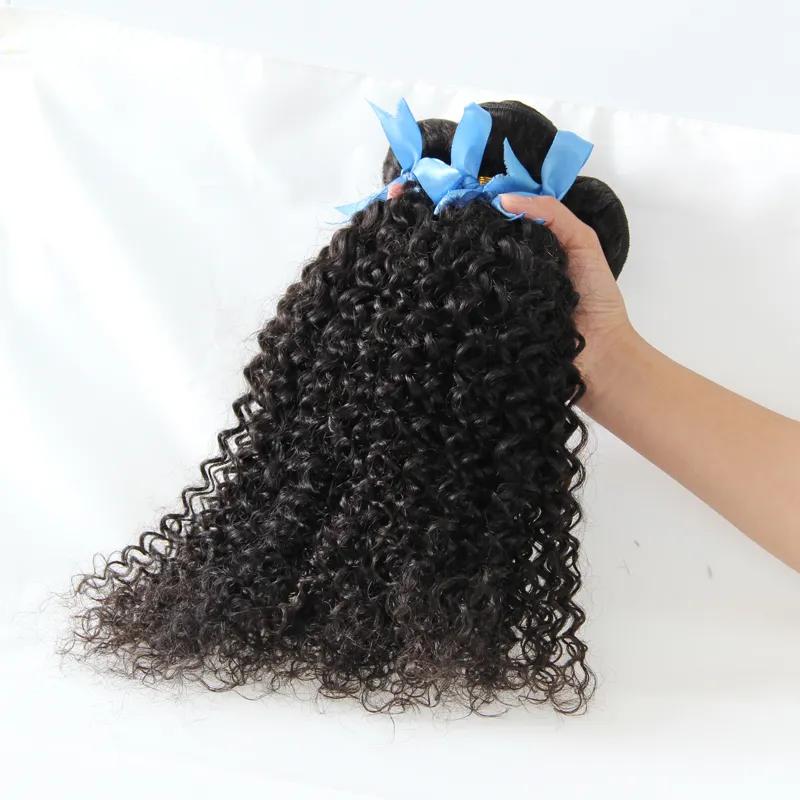 Não Transformados Cabelo Brasileiro Virgem 3 pacotes kinky encaracolado do cabelo humano feixes de cabelo Encaracolado Preto Natural do cabelo humano, nenhum derramamento, emaranhado livre