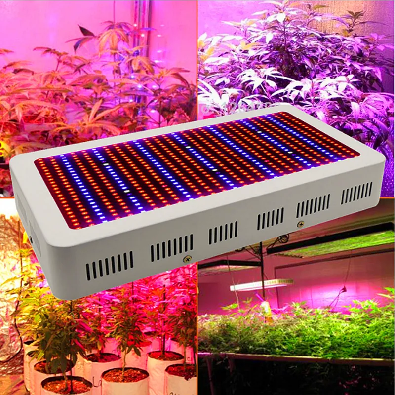 Haute qualité 600W LED à spectre complet élèvent la lumière rouge/bleu/blanc/UV/IR AC85 ~ 265V SMD5730 lampes LED pour plantes 2 ans de garantie