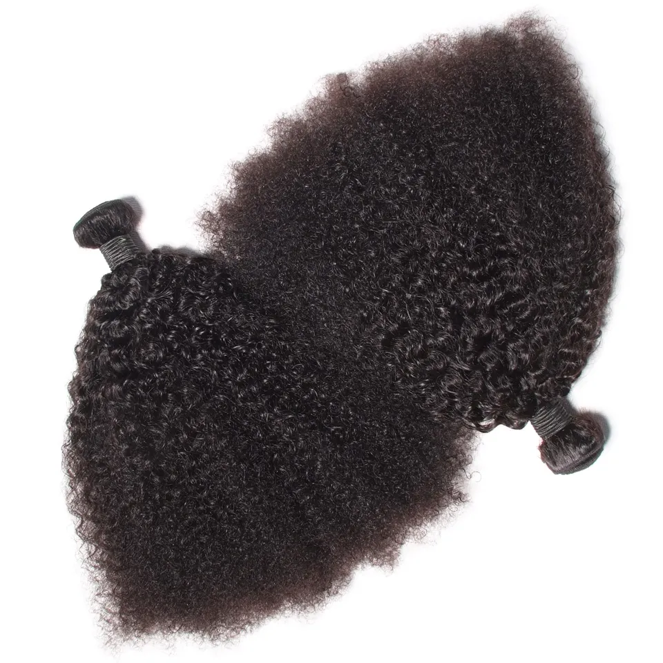 Cheveux humains vierges malaisiens Afro Kinky Curly non transformés Remy Hair Weaves Double Trames 100g / Bundle 1bundle / Peut être teint blanchi Fedex