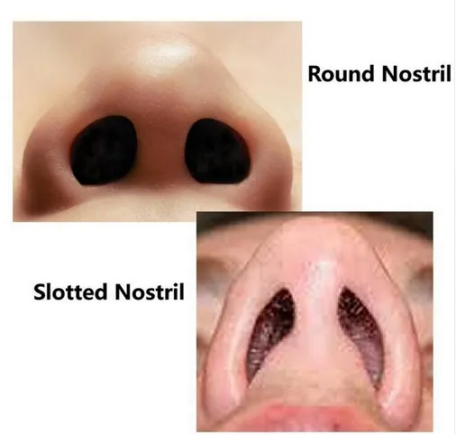 Woody Scnows Polluant Gas Réduire le nez Filtres nasaux Masques du nez Allergies Pouc-poussière Allergy Relief No PM2 5 Pollution de l'air 280S3994696