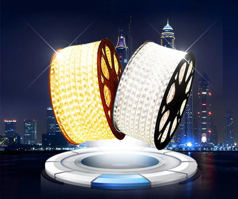 12v LED Rope Light 50M Double Row SMD LED Strip, High Brightness ...