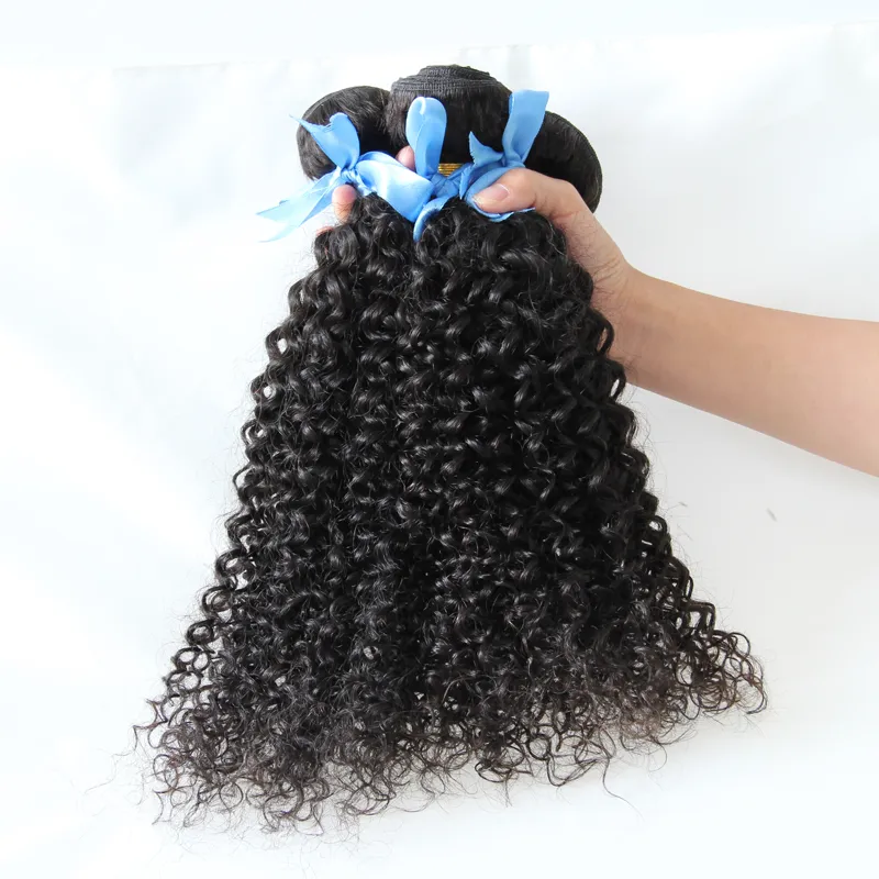 Malaysian kinky curly hair human hair bundles curly 300g human hair bundles
