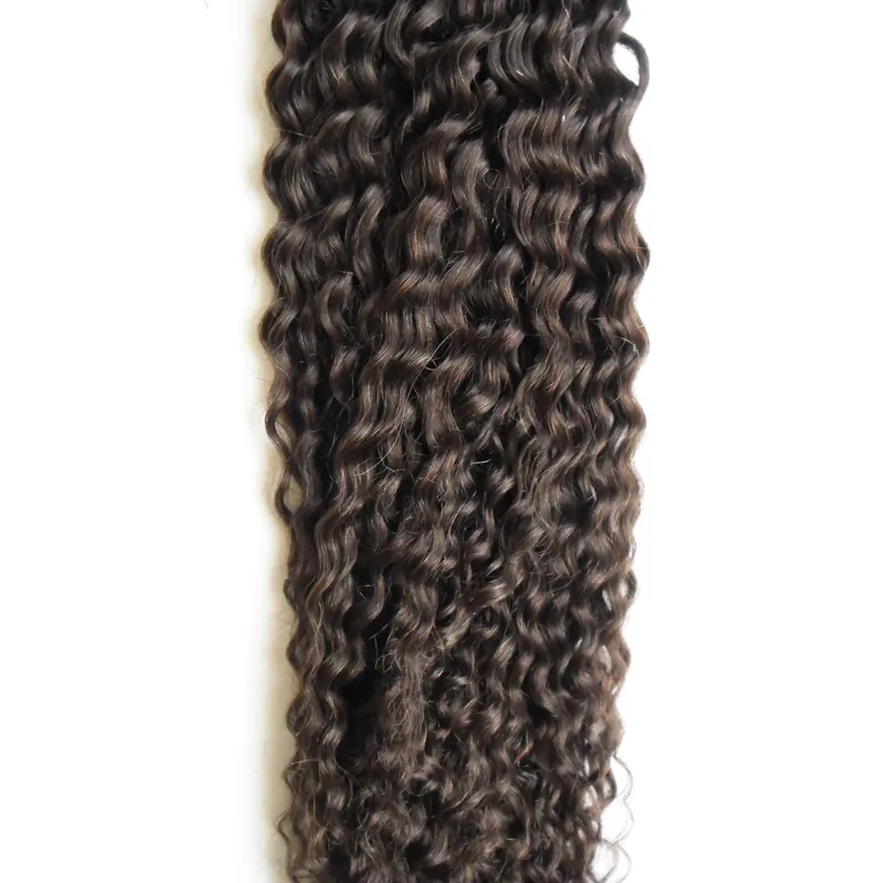 Virgin Curly Chinese Haar Micro Loop Hair Extensions 1G Krullend 100g Kinky Krullend Micro Loop Menselijke Hair Extensions