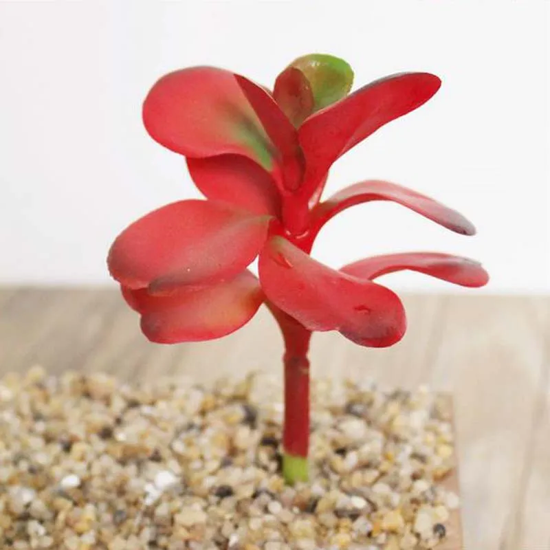 2017 새로운 인공 붉은 즙이 많은 식물 인공 Miniascape / 분재 / 화분 된 홈 발코니 장식 장식 꽃 무료 배송