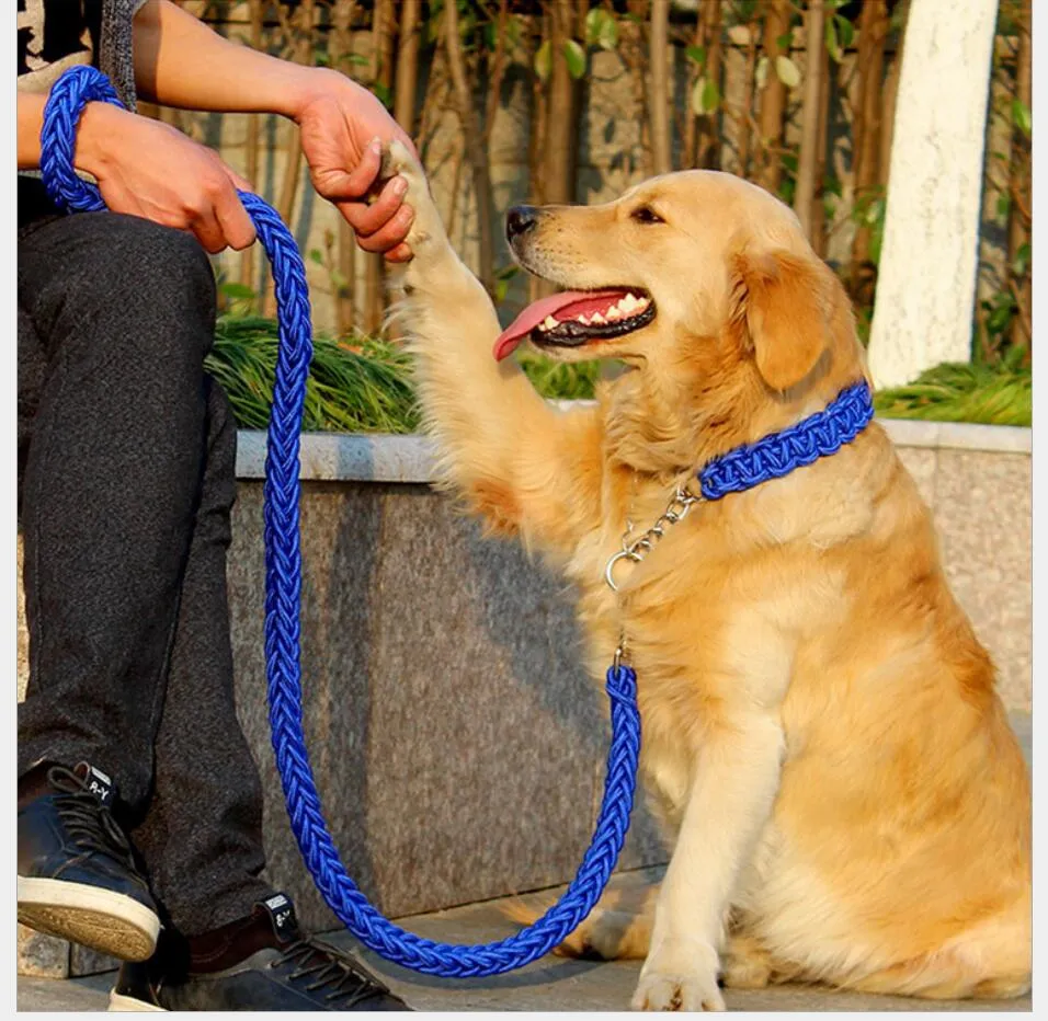 2017 Nova Alta Qualidade Atualizado gola de cores estereotipada corda Trelas Do Cão Grande Pet Traction Rope Collar Set Para Cães Grandes