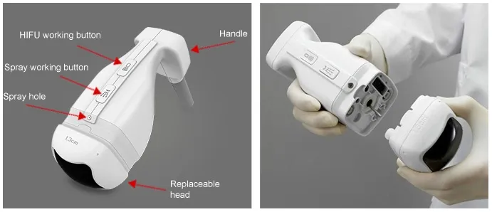 Liposonix médical professionnel à ultrasons focalisés de haute intensité Hifu amincissant la machine avec cartouche de 8 mm 13 mm pour le corps amincissant la perte de poids