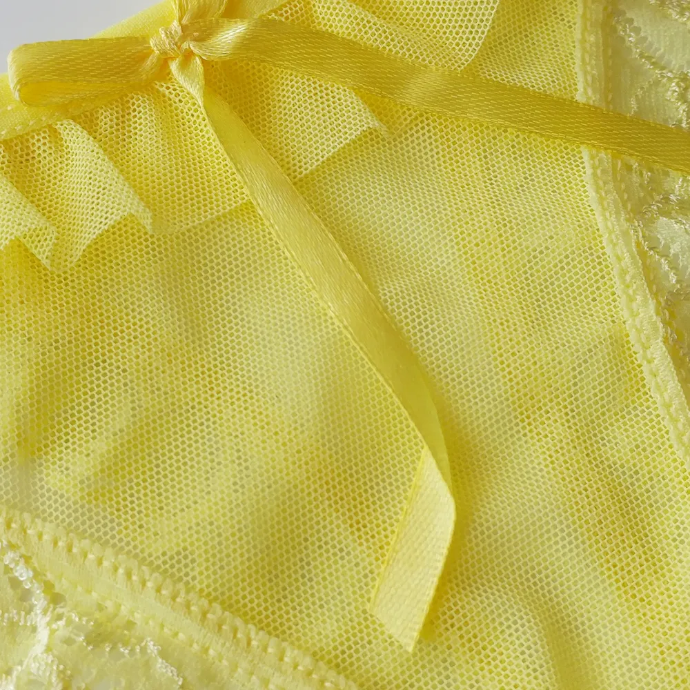 2017 nouveaux slips pour femmes Sexy maille T culottes volants respirant culotte transparente culotte filles Underpants1504