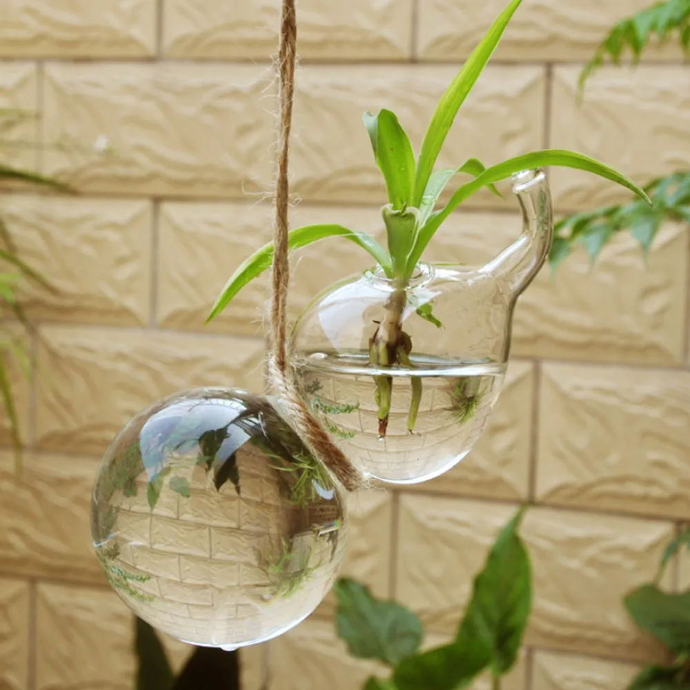 Set di 2 piante di vetro in vetro a forma di zucca in sospeso Terrario di piantatore di contenitori la casa la casa1394395