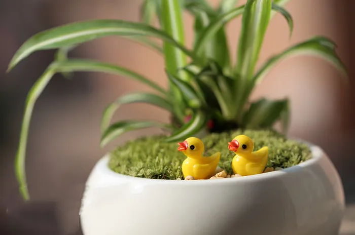 Expédition gratuite En gros Durable dessin animé décoratif de canard jardin Miniatures Mini Jardin Craft de résine pour mariage et maison de jardin plantation