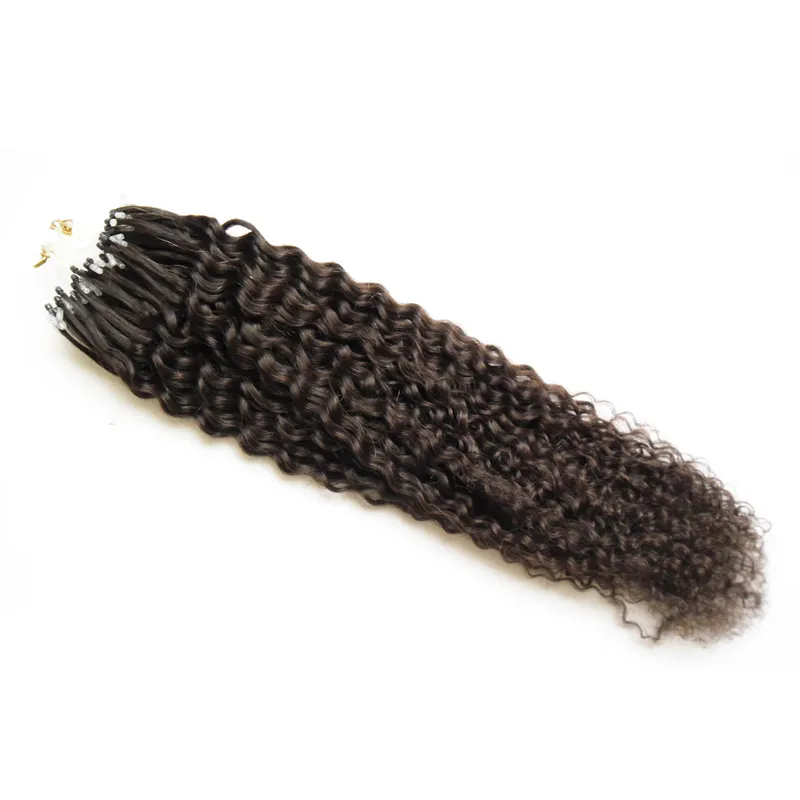 Natural Black Curly Micro Bead Hair Extensions 100g Peruansk Virgin Hair Micro Loop Kinky 1GS 100S Micro Loop 1G Curly2880549