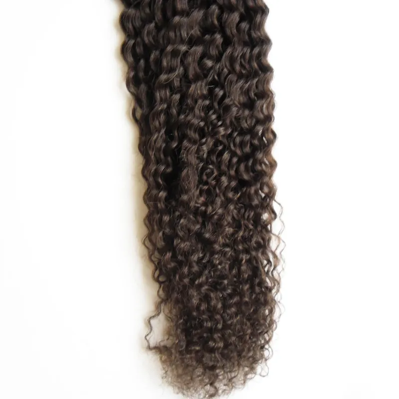 Virgin Curly Chinese Haar Micro Loop Hair Extensions 1G Krullend 100g Kinky Krullend Micro Loop Menselijke Hair Extensions