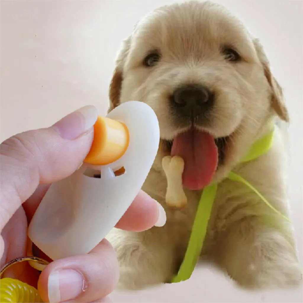 Dier huisdier hond puppy training clicker gehoorzaamheid hulp + polsband lichtgewicht snel gratis DHL verzending levering