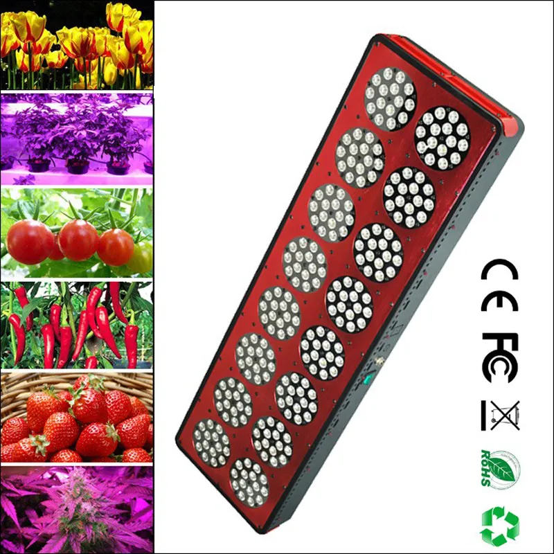 Nowy Rok 2017 Producenci Series LED Grow Light z 200 W 300W 400W 600W Czerwony Niebieski 2: 1 LED Rosną światła do roślin wewnątrz