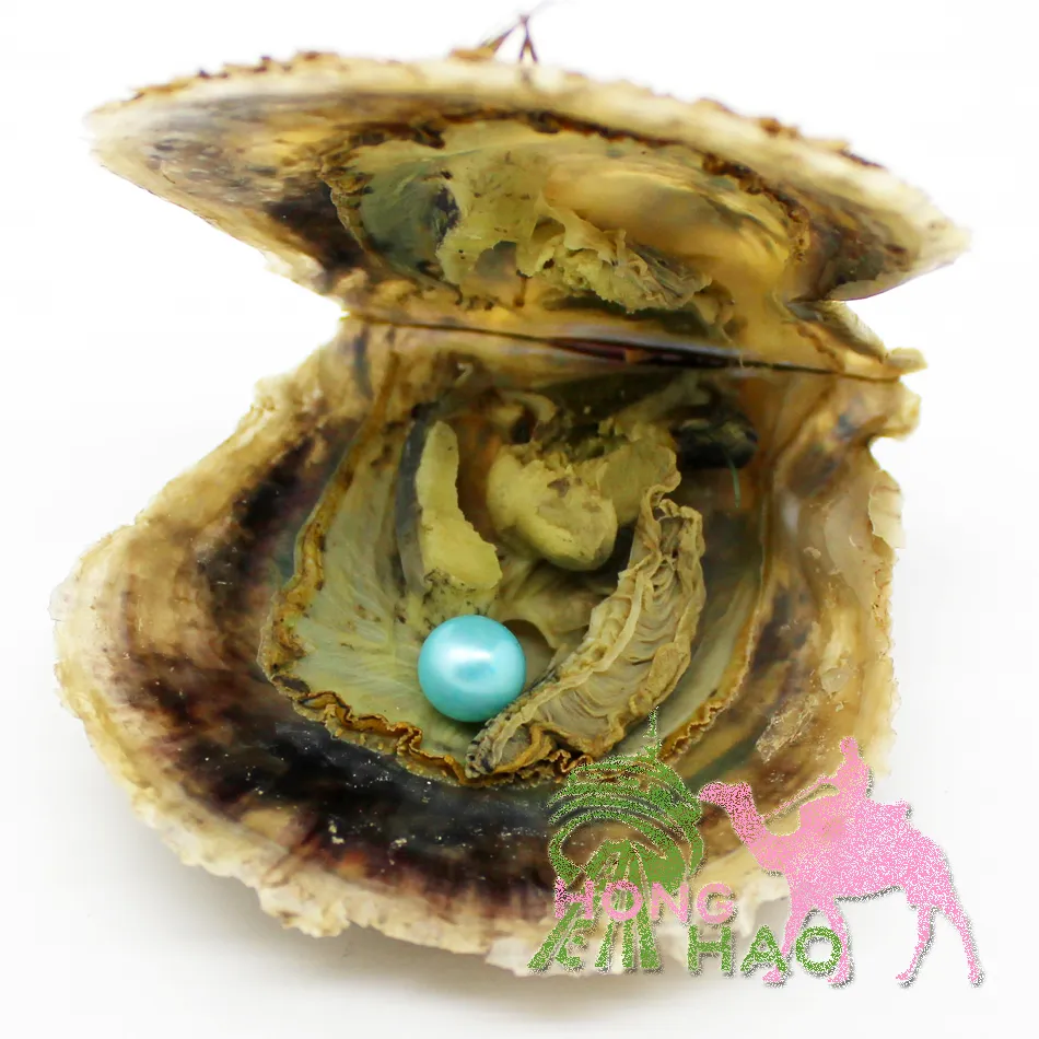 Bulk Freshwater Natural Pearl Oyster 6-8mm AAA Grade #Oval Pearl & Oyster Vacuum Package You can customize pearl color