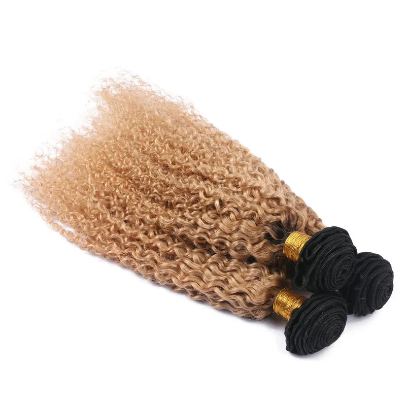 Kinky Curly Virgin Indian Honey Blonde Ombre Human Hair Weave Bundlar Två Tone 1B / 27 Ljusbrun Ombre Human Hair Extensions