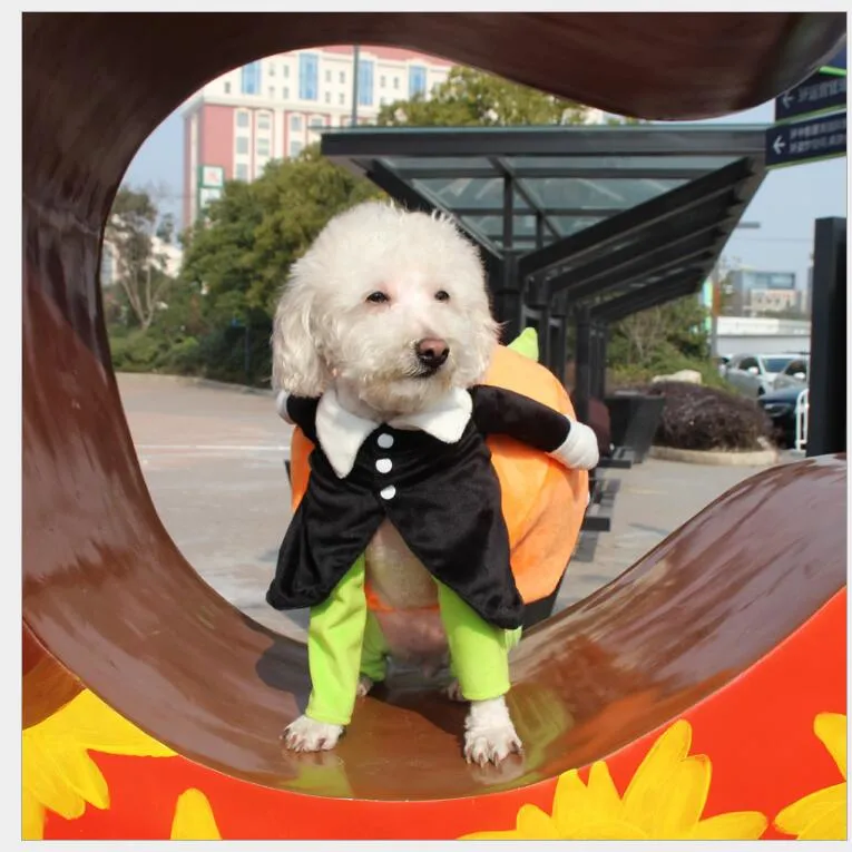 Pumpkin Thanksgiving Dog Sweater Thanksgiving Dog Sweaters, Warm