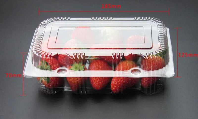 Transparente Einweg-Kunststoff-Brot-Kuchen-Box, Obst-Sushi-Boxen, Lebensmittel-Aufbewahrungsbehälter mit Deckel