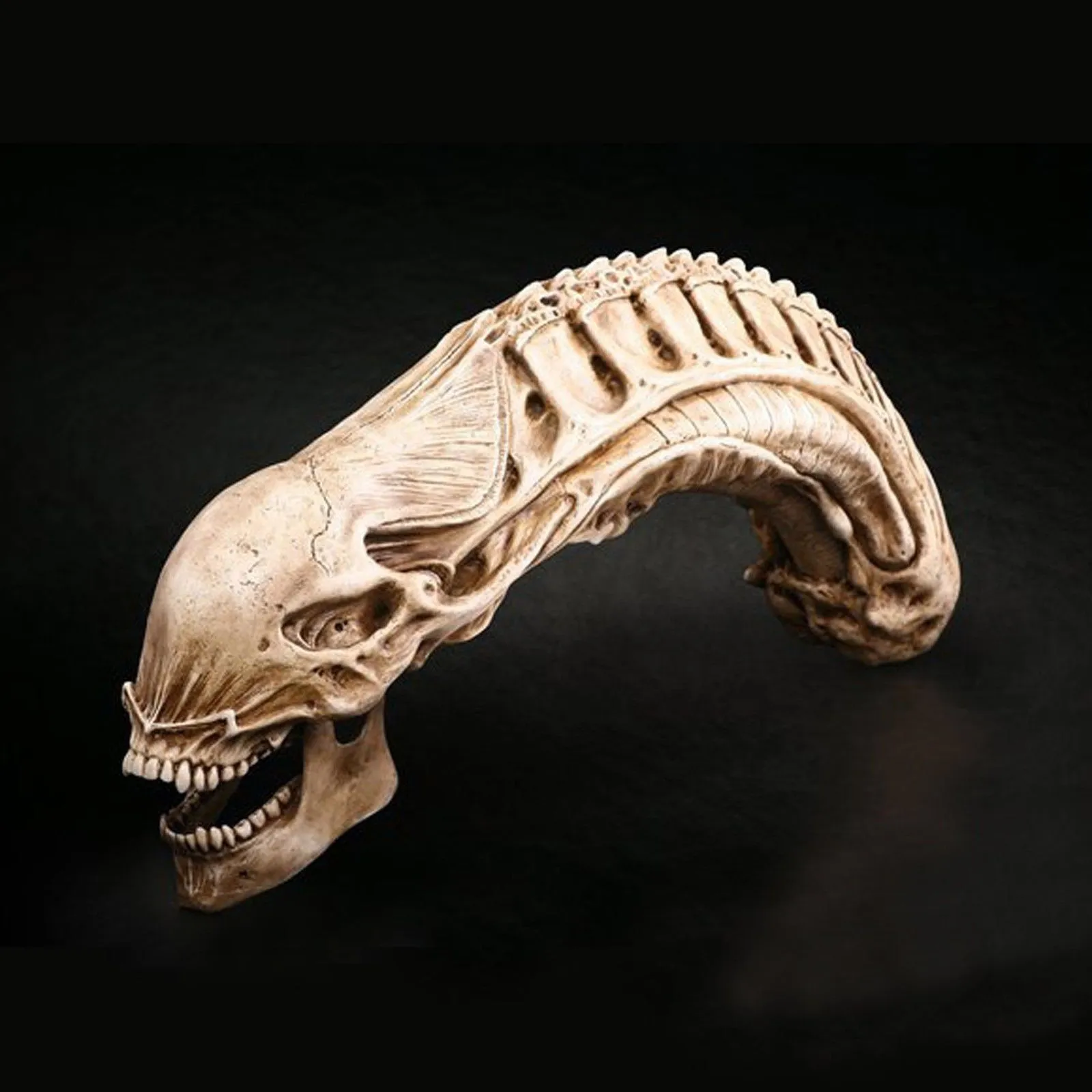 20 Predator vs Gien Skull Fossil Resin Model Figure تم تمثال تمثال قابلة للتحصيل 308