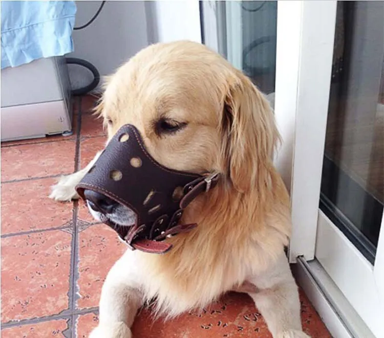 قابلة للتعديل بولي جلد الكلب muzzles مضادة اللحاء لدغة التدريب طاعة الطاعة للكلاب الصغيرة المتوسطة كبيرة 6 أحجام 265 ب