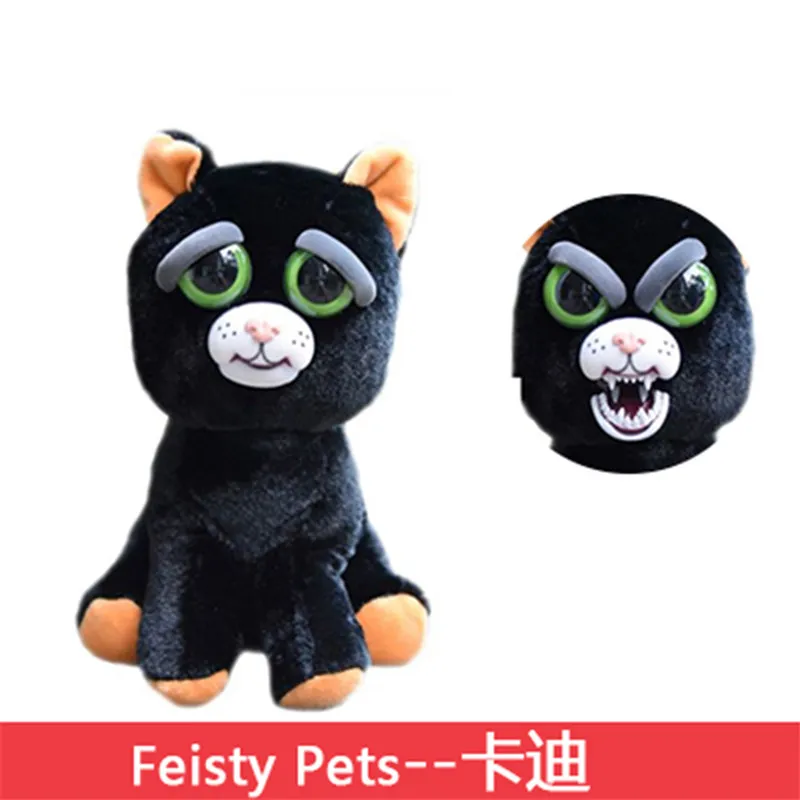 Feisty pets hot sale black cat