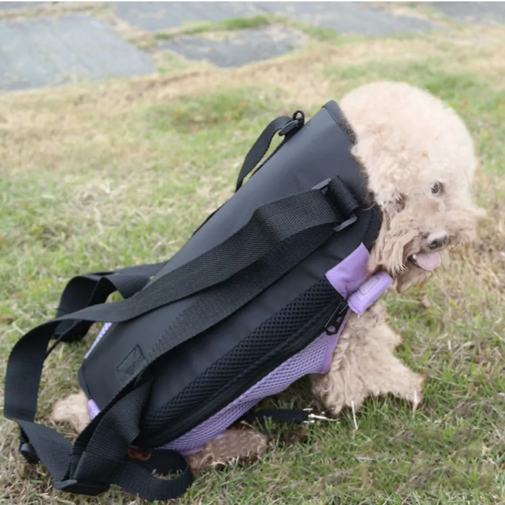 Animali domestici Carrier Dog Front Torace Zaino Cinque fori Zaino Backpack Dog Outdoor Carrier Tote Bag Sling Holder Mesh Cat Puppy Dog Carriers