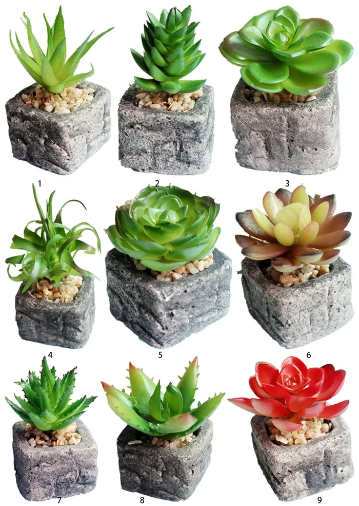 인공 그린 Potted Emulational Succulents 홈 가든 웨딩 테이블을위한 냄비와 함께 작은 공장 생일 크리스마스 파티 장식