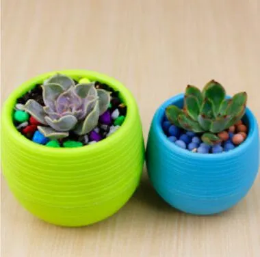 Novo mini redondo em forma de plástico decoração de decoração de suculentas plantador de sementes