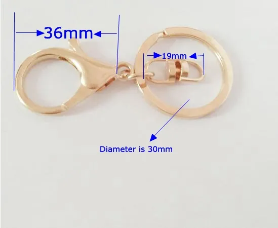 30mm ألوان متعددة السلاسل مفاتيح حلقات المفاتيح الملحقات جولة الذهب الفضة ألوان جراد البحر clasp keychain