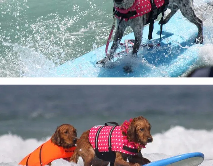 Golden Retriever Labrador Small Big Dog Life Jacket Safety Medium Large