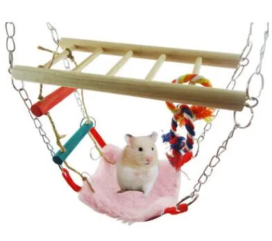 Jouet hamster chaud, écureuil, perroquet, oiseau, pont suspendu, balançoire, escalier