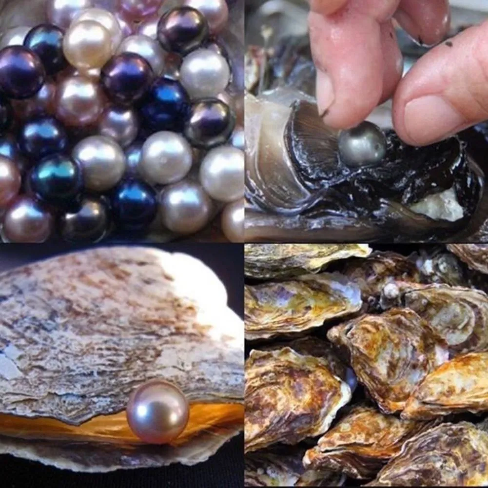 Love pearl oyster 6-7 mm rosa laranja azul cinza ouro colocar pérola em ostra fresca com embalagem a vácuo desejo pérola surpresa misteriosa