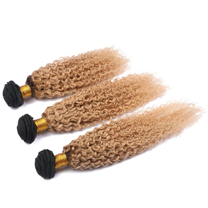 Kinky Curly Virgin Indian Honey Blonde Ombre Bundles de Tissage de Cheveux Humains Deux Tons 1B / 27 Brun Clair Ombre Extensions de Cheveux Humains