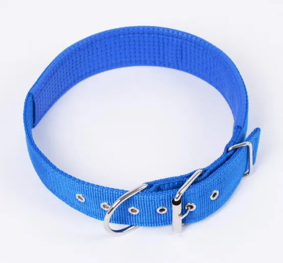 40 pièces marque mise à jour en Nylon Double épaississement collier de chien de compagnie boucle carrée chien chiot chat Collars7540136