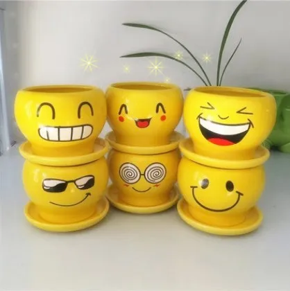 2017 the latest cool expression creative ceramic crafts Mini Pot meat pot plant pot, happy, funny, cool / 