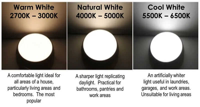 Topoch Lampada da lettura a LED minimalista Lampada da libro cablata Finitura cromata lucida Tubo flessibile Interruttore ON/OFF Alimentatore integrato auto da camera