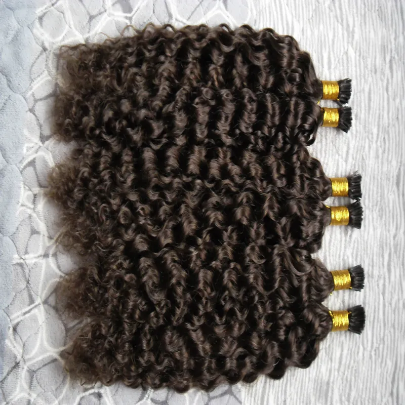Fusion Human Hair Extensions 2 Brown Brown Brazilian Virgin Kératine Hair Extension I Tip Curly Hair Extensions 300GSTRANDS8377396