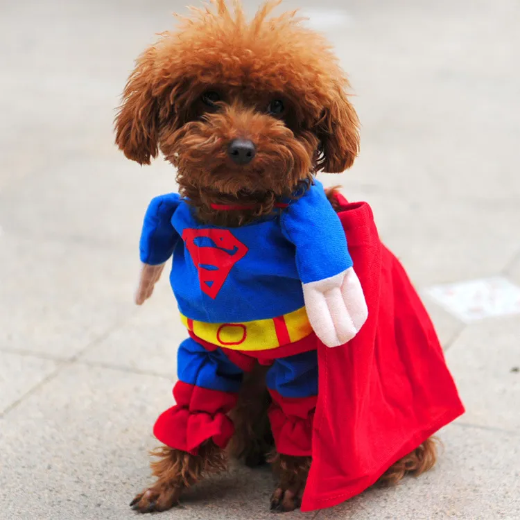 Animal de Estimação Cão Gato Superman Traje Terno Filhote de Cachorro Roupas de Roupas de Super-heróis Vestuário para Cães Outono / Inverno