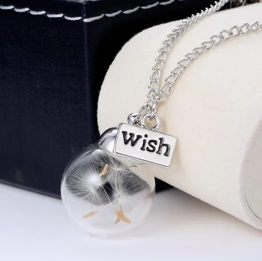 Glass bottle necklace Natural dandelion seed in glass long necklace Make A Wish Glass Bead Orb silver plated Necklace jewelry G1259272494