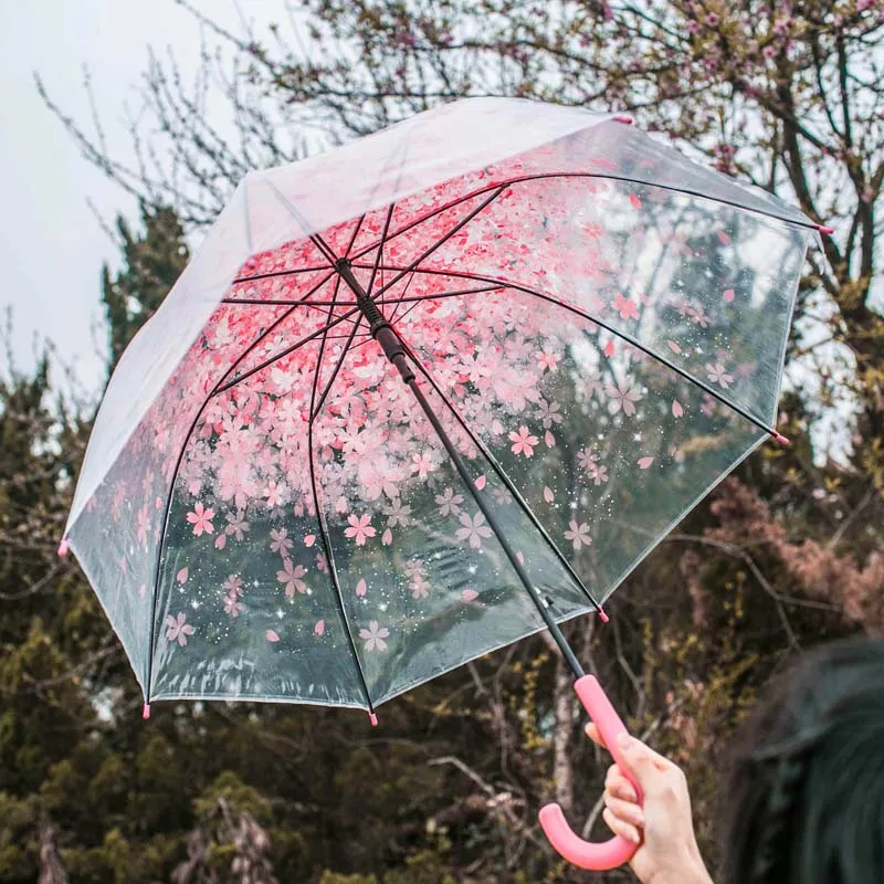 Ombrello ombrello trasparente per uomo e donna ombrello trasparente con  manico lungo ombrello automatico per pubblicità : : Moda
