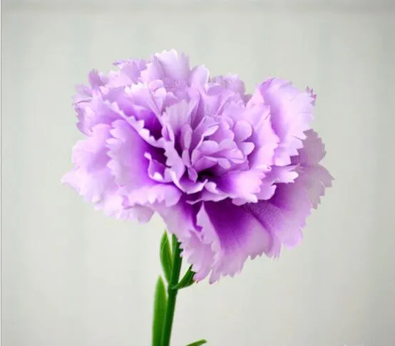 66 Pezzi Di Fiori Finti Artificiali In Tessuto Di Seta Per Decorazioni Fai Da Te - Matrimoni, Centrotavola, Bouquet E Festa - 3